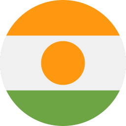 The flag of Niger