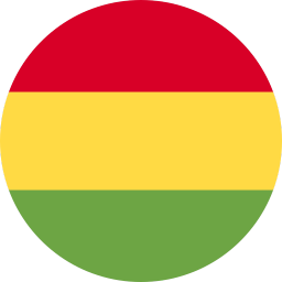 The flag of Bolivia