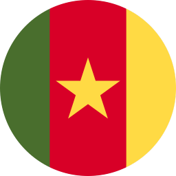 The flag of Cameroon