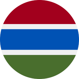 The flag of The Gambia