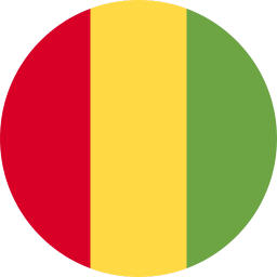 The flag of Guinea