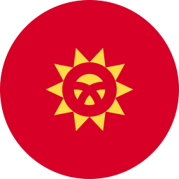 The flag of Kyrgyzstan