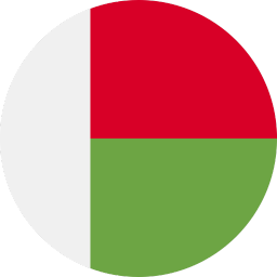 The flag of Madagascar