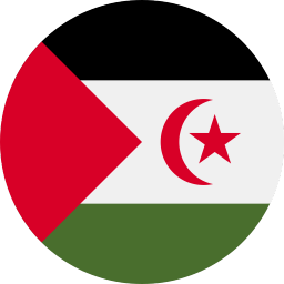 The flag of Sahrawi Arab Democratic Republic